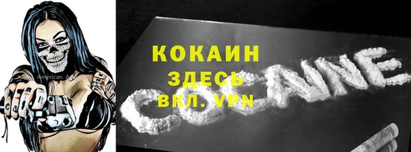дурь Магас