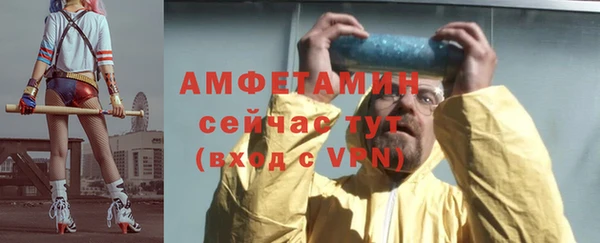 хмурый Лиски
