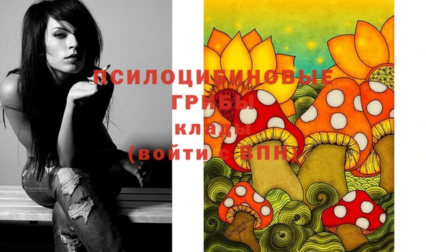 крисы Липки