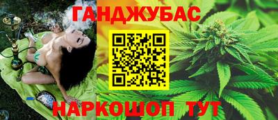 мет Кингисепп