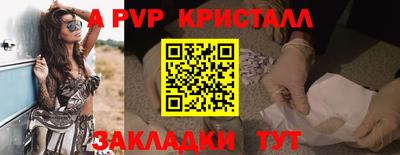мет Кингисепп
