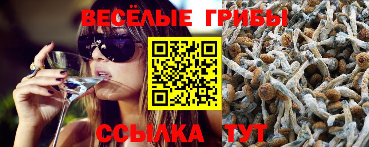Галлюциногенные грибы мухоморы  Вход с VPN  Сунжа  Псилоцибиновые грибы ЛСД 