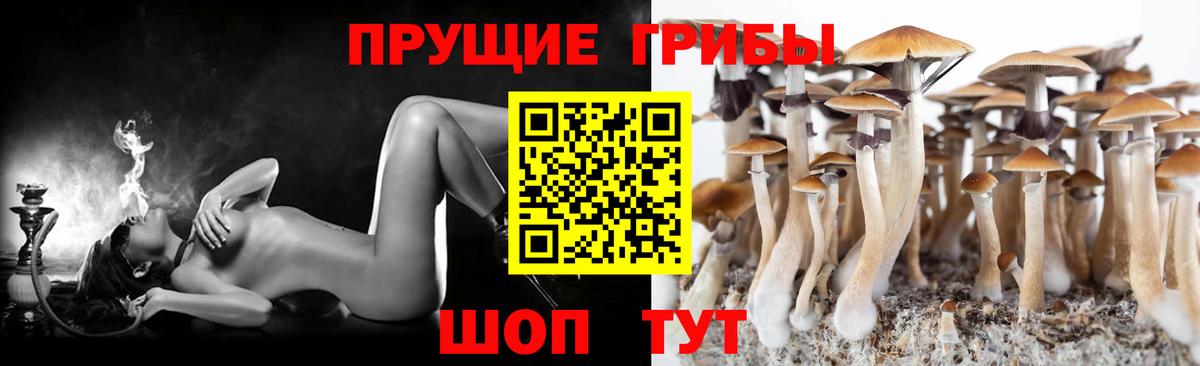 Псилоцибиновые грибы Magic Shrooms  Сунжа 