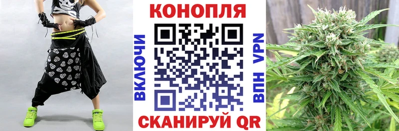 где можно купить   Сунжа  Шишки марихуана THC 21% 